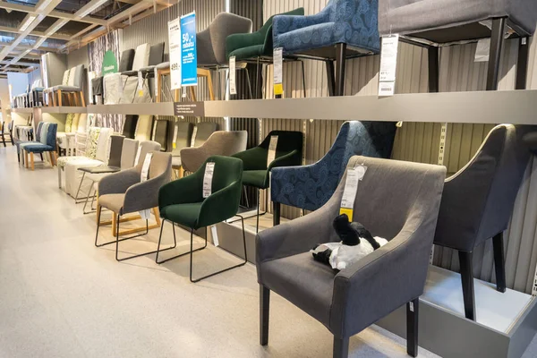 Polonya 'nın Poznan kentindeki bir IKEA mobilya ve ev aletleri mağazasında satılık bir grup sandalye.