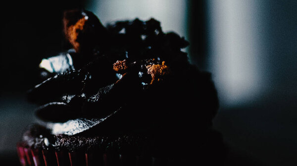 A closeup shot of delicious chocolate cupcake