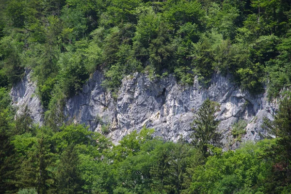 Blick Auf Die Zellerwand Das Attraktive Klettergebiet Bayern Bei Schleching — Stockfoto