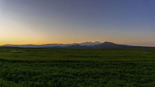 Krajobraz Wiejski Dużą Zieloną Łąką Zachodzie Słońca — Zdjęcie stockowe