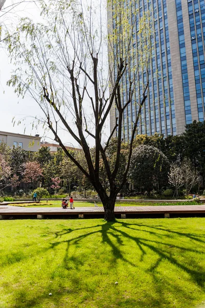 Vertikal Bild Ett Naket Träd Liten Park Shanghai Kina — Stockfoto