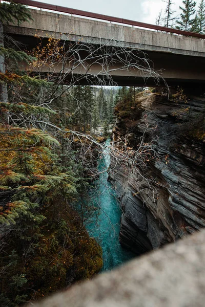 Ένα Κάθετο Πλάνο Του Φαραγγιού Athabasca Falls Canyon Στο Jasper — Φωτογραφία Αρχείου