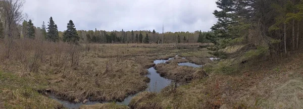 Petit Ruisseau Qui Coule Dans Une Zone Paisible Avec Bois — Photo