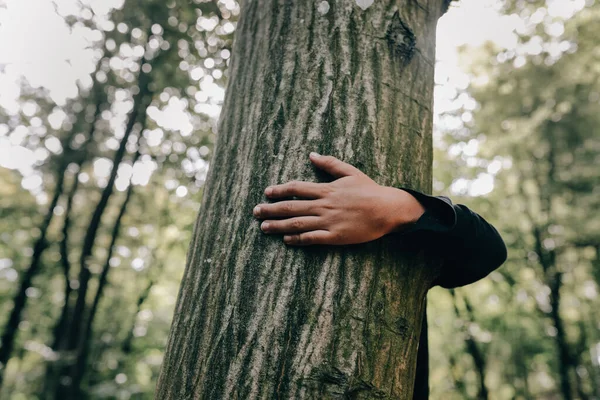 Nahaufnahme Einer Hand Die Den Baum Wald Deutschland Berührt — Stockfoto