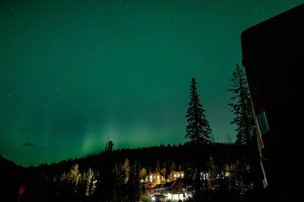 Low Angle Shot Magical Green Northern Lights Stars Seen Forest — Stock Photo, Image