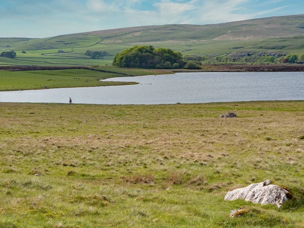 Kuzey Yorkshire 'daki Malham Tarn arazisi.