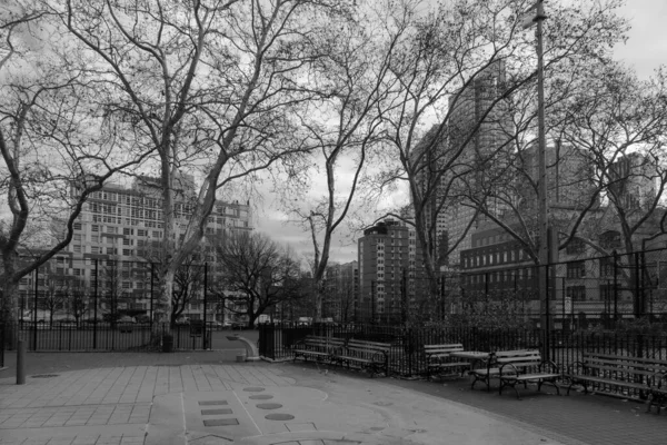 米国のグレースケールを背景に裸の木や建物があるブルックリン公園の眺め — ストック写真