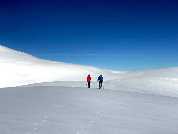 明るい日に2人の男のスキートレッキングの美しいショット — ストック写真