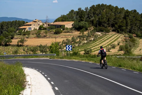 Ein Blick Auf Einen Radfahrer Auf Einer Straße Zwischen Weinbergen — Stockfoto
