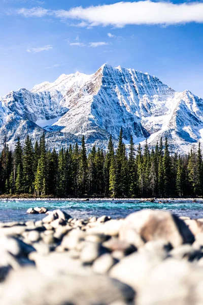 Pionowe Ujęcie Góry Canadian Rockies Drzewami Jeziorem Poniżej — Zdjęcie stockowe
