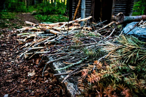 Les Branches Sèches Broussailles Pour Feu Joie Sol Dans Forêt — Photo