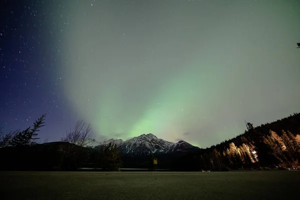 从加拿大森林中看到的神奇的绿色北极光和星星的低角镜头 — 图库照片