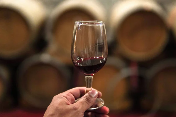 Bir Etkinlikte Bir Bardak Kırmızı Şarabı Ahşap Fıçı Yığınına Karşı — Stok fotoğraf