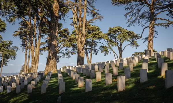 Náhrobní Kameny Národním Hřbitově San Franciscu Obklopené Stromy — Stock fotografie