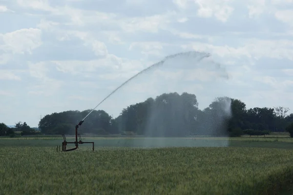 Irrigação Campo Grãos Sul Hesse Alemanha Fonte Spray Luta Contra — Fotografia de Stock