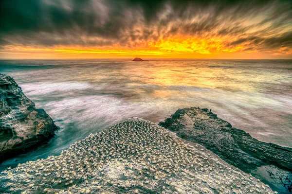 Looking West Viewing Platform Muriwai Gannet Colony Watching Setting Sun — Stock Photo, Image