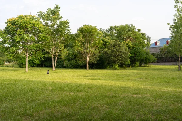 Beautiful View Park Green Trees Grass Walking Promenade — Stock Photo, Image