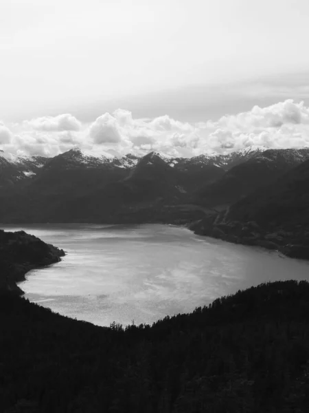 Vertical Grayscale Shot Snowy Mountains Next Reserve — Stock Photo, Image