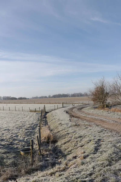 Vue Verticale Une Matinée Givrée Mais Dégagée Dans Les Champs Images De Stock Libres De Droits