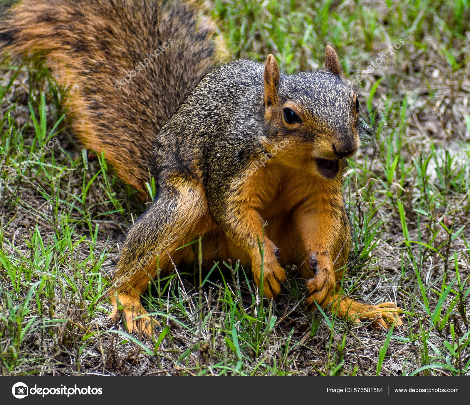 Boglangan bilan porno videolar