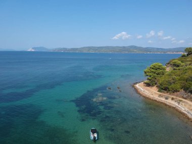 Güzel bir kuşun deniz manzaralı görüntüsü