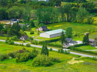 Ormandaki güzel evlerin yüksek açılı manzarası