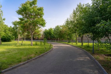 Yeşil ağaçlı güzel bir park manzarası ve yürüyüş ve gezinti için bir yol.