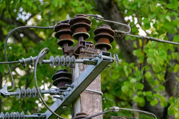 Gros Plan Fils Électriques Isolant Dans Parc Verdoyant — Photo