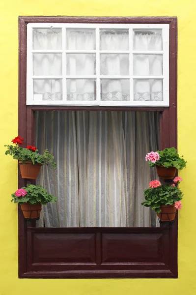 Vertikal Bild Ett Traditionellt Träfönster Med Blommor Spanien — Stockfoto