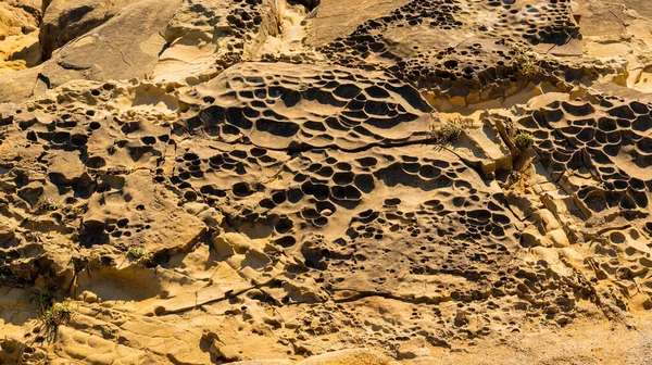 Struktura Plastra Miodu Skały Piaszczystej Plaży — Zdjęcie stockowe