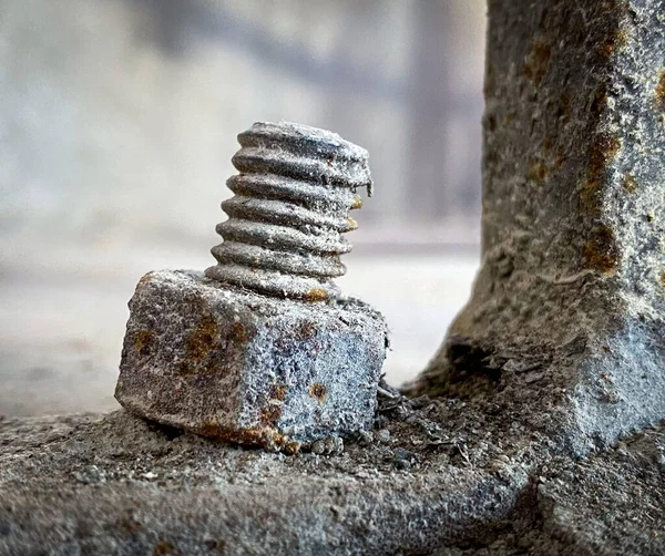 Closeup Shot Rusted Nut Bolt Outdoors Blurred Background — Stock Photo, Image