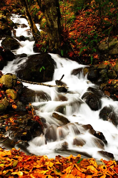 Tiro Vertical Uma Cachoeira Uma Floresta Durante Dia Outono — Fotografia de Stock