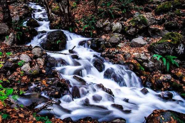 Tiro Hipnotizante Uma Cachoeira Uma Floresta Durante Dia Outono — Fotografia de Stock