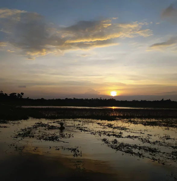 Silhouette Field Sea Sunset Cloudy Sky — Stock Photo, Image