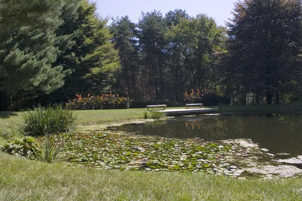オハイオ州バーミンガムの公園内の緑の木々や花に囲まれた池の景色 — ストック写真