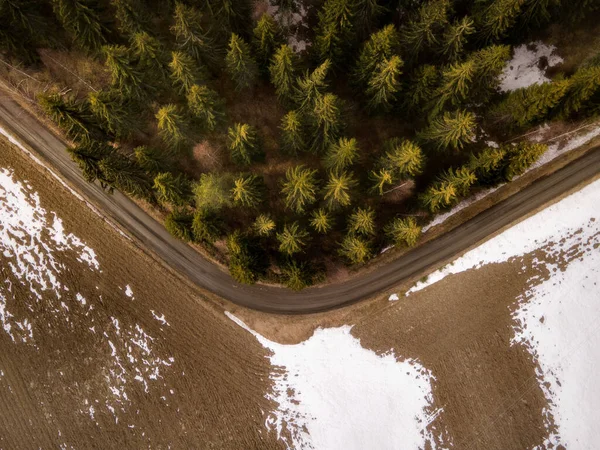 Flygbild Över Gröna Träden Skog Gammal Gran Gran Och Tall — Stockfoto