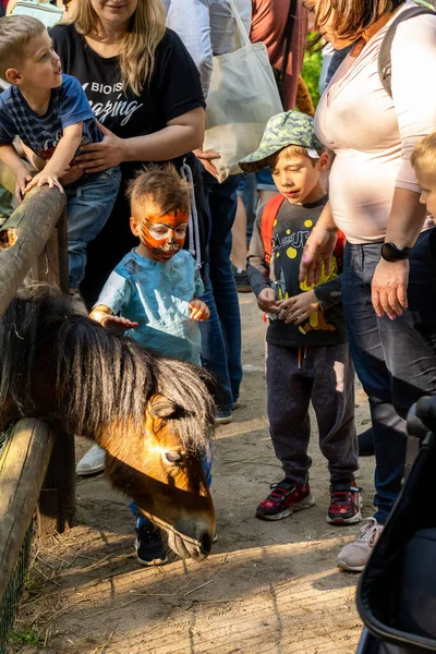 Les Adultes Les Enfants Debout Près Petit Poney Zoo — Photo