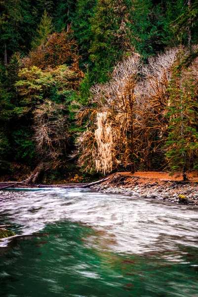 秋の日中に森の中で滝の垂直ショット — ストック写真