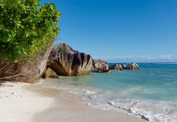 Une Belle Vue Sur Littoral Avec Des Arbres Tropicaux Île — Photo