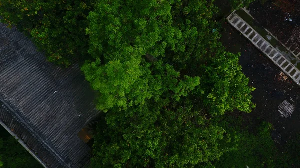 Der Hof Des Hauses Umgeben Von Schattigen Bäumen Von Drohnen — Stockfoto