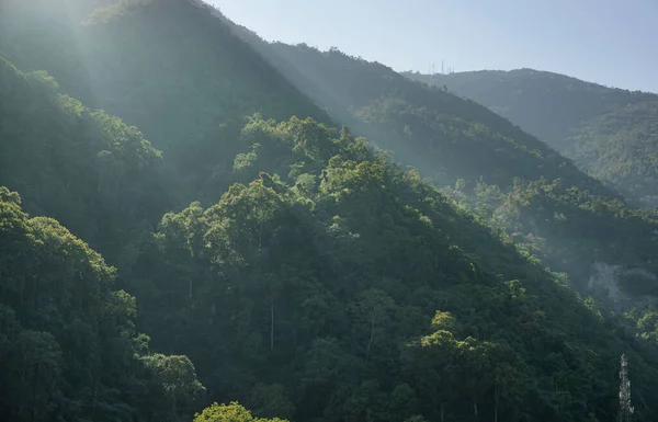 インドのシキム州の木で覆われた緑の丘の美しい自然景観 — ストック写真