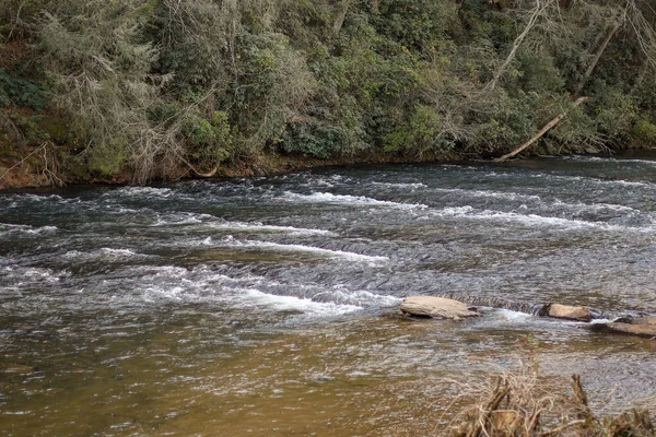 Rio Que Passa Por Uma Floresta Uma Área Rural — Fotografia de Stock