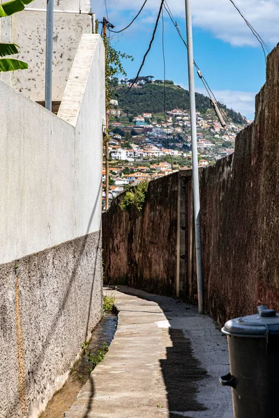 Vertikální Záběr Úzké Uličky Starými Zdmi Starém Městě Funchalu Madeiře — Stock fotografie