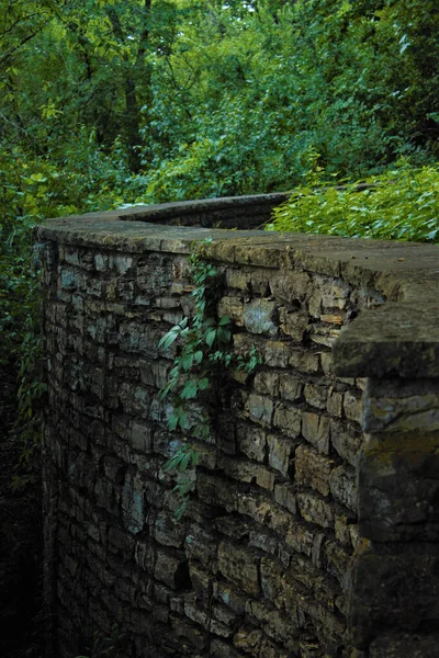 Colpo Verticale Muro Del Parco Cittadino Con Alberi Sullo Sfondo — Foto Stock