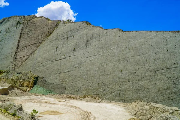Sucre Bolivya Daki Kretase Parkı Ndaki Kayanın Üzerindeki Dinozor Ayak — Stok fotoğraf