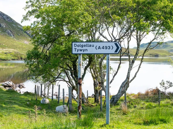 Señal Tráfico Lagos Cregannan Cerca Dolgellau Wales —  Fotos de Stock