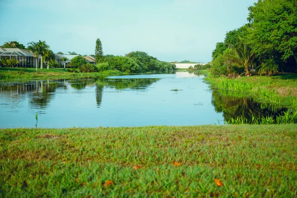 緑の芝生に囲まれた池の美しいショット — ストック写真