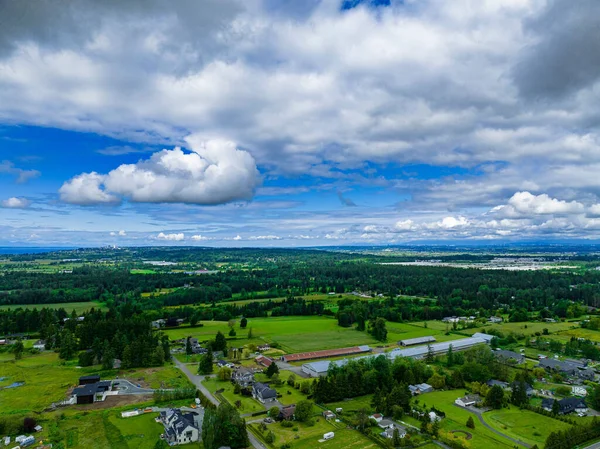 Una Vista Ángulo Alto Hermosas Casas Bosque —  Fotos de Stock