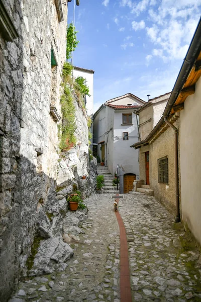 イタリア カンパニア地方の山の中の村ペチナの古い家の間の狭い通り — ストック写真