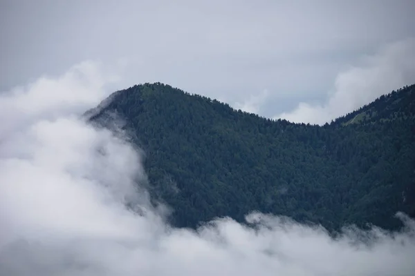 Krásný Výhled Zalesněné Kopce Big Pasture Plateau Kamnik Savinja Alpy — Stock fotografie